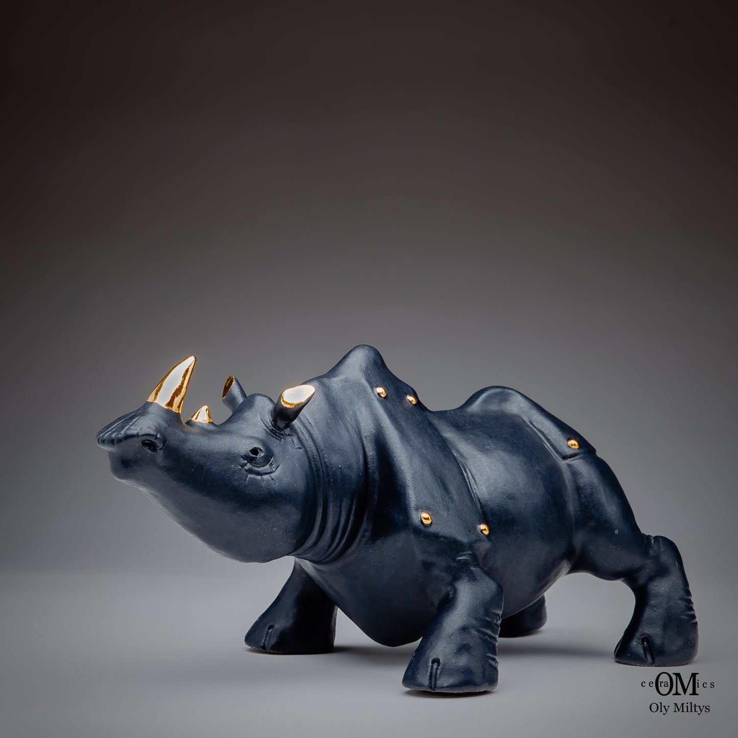 Rhino#4