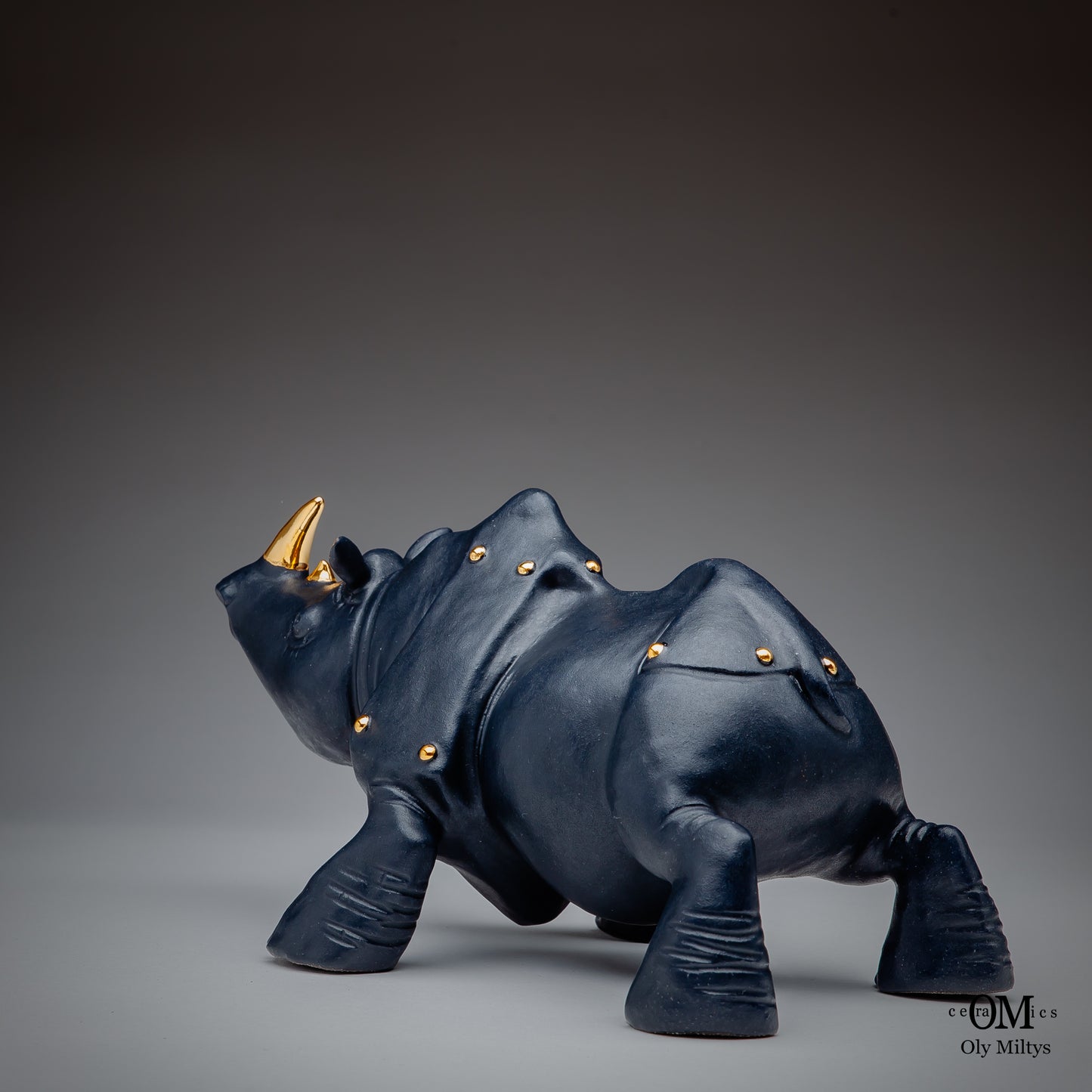 Rhino#4