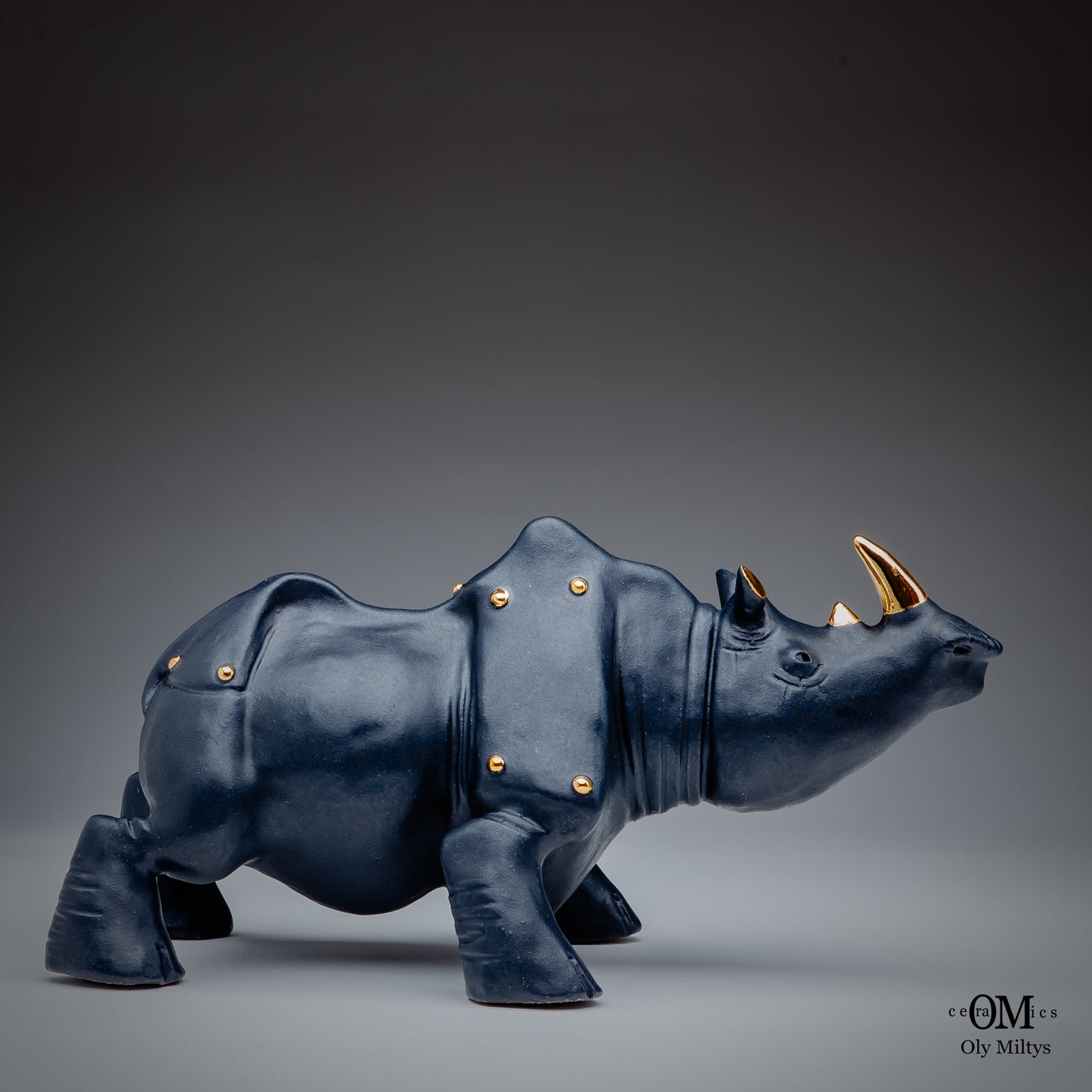 Rhino#4