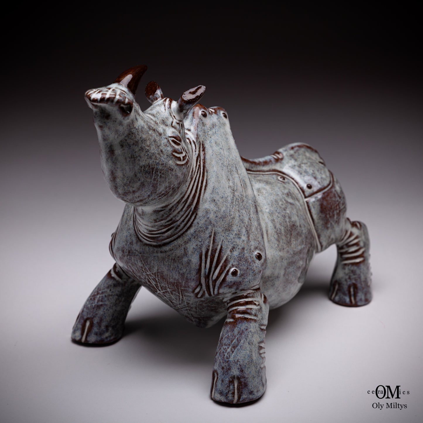 Rhino#1