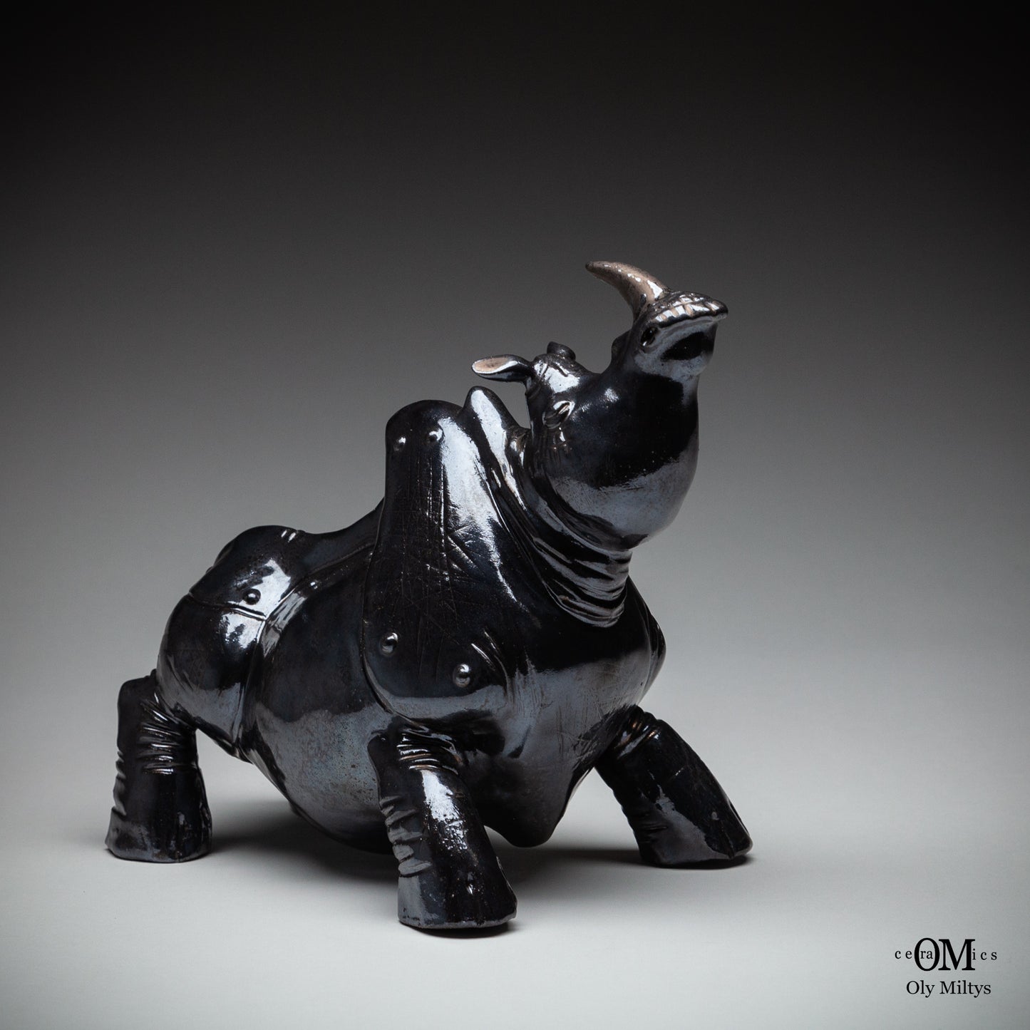 Rhino#8