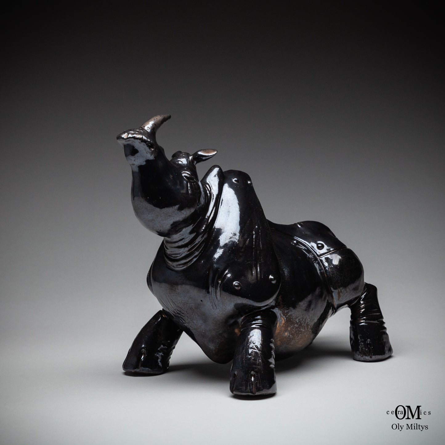 Rhino#8
