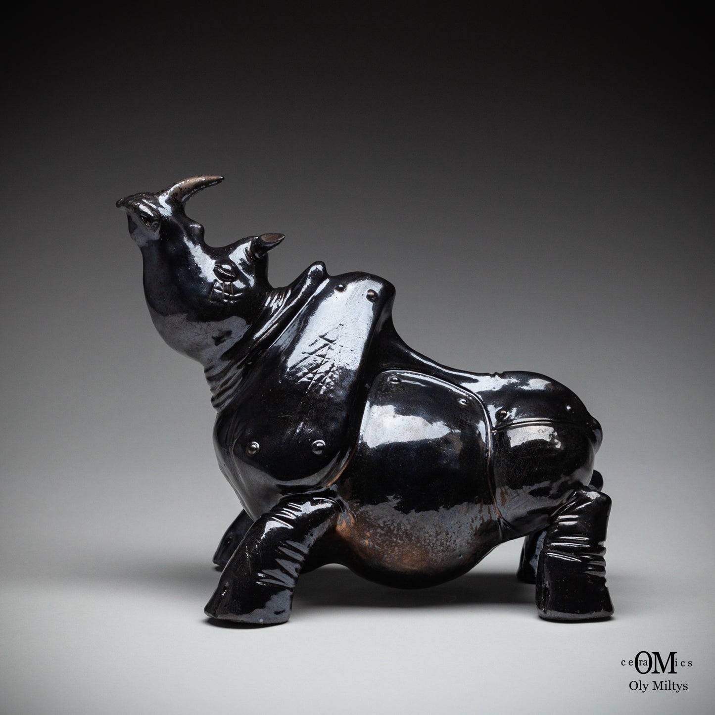 Rhino#8