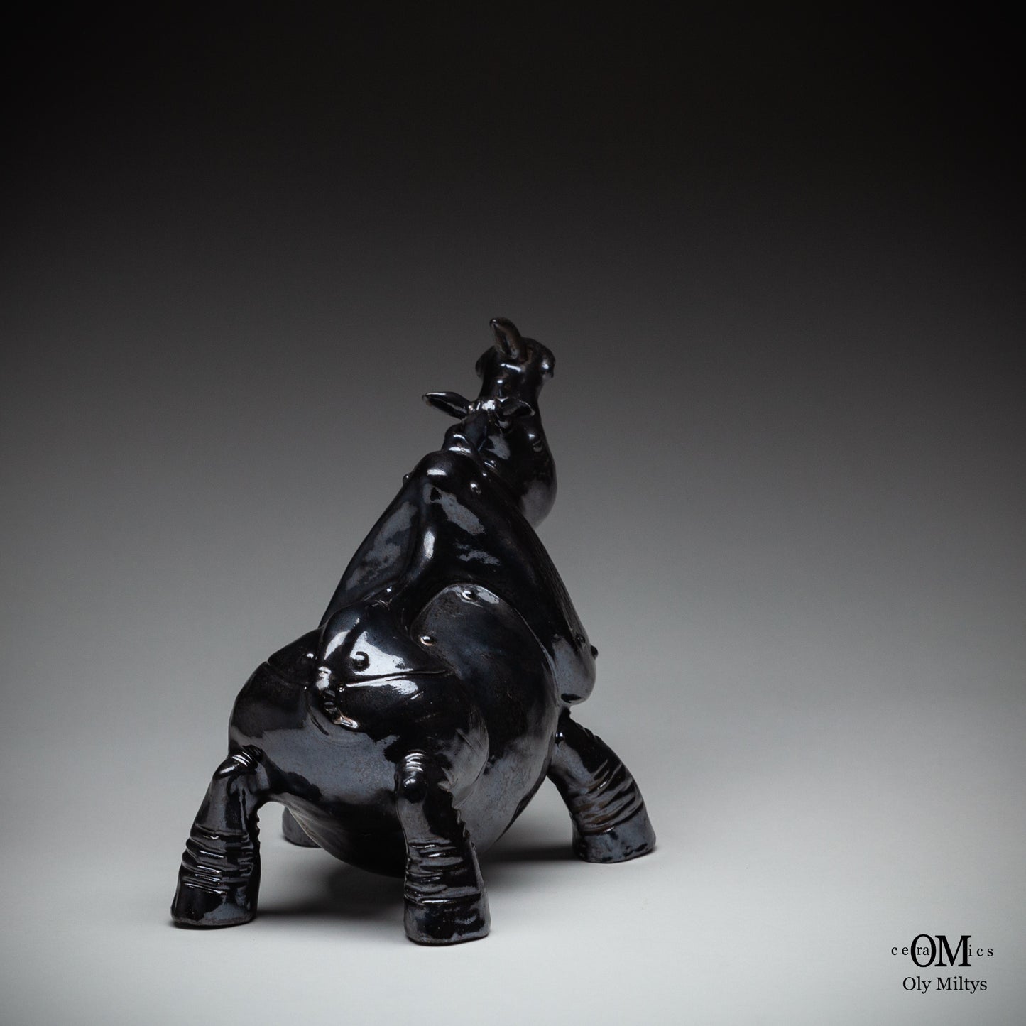 Rhino#8