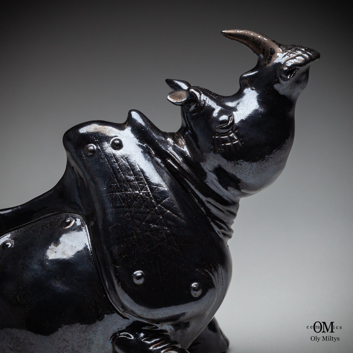 Rhino#8