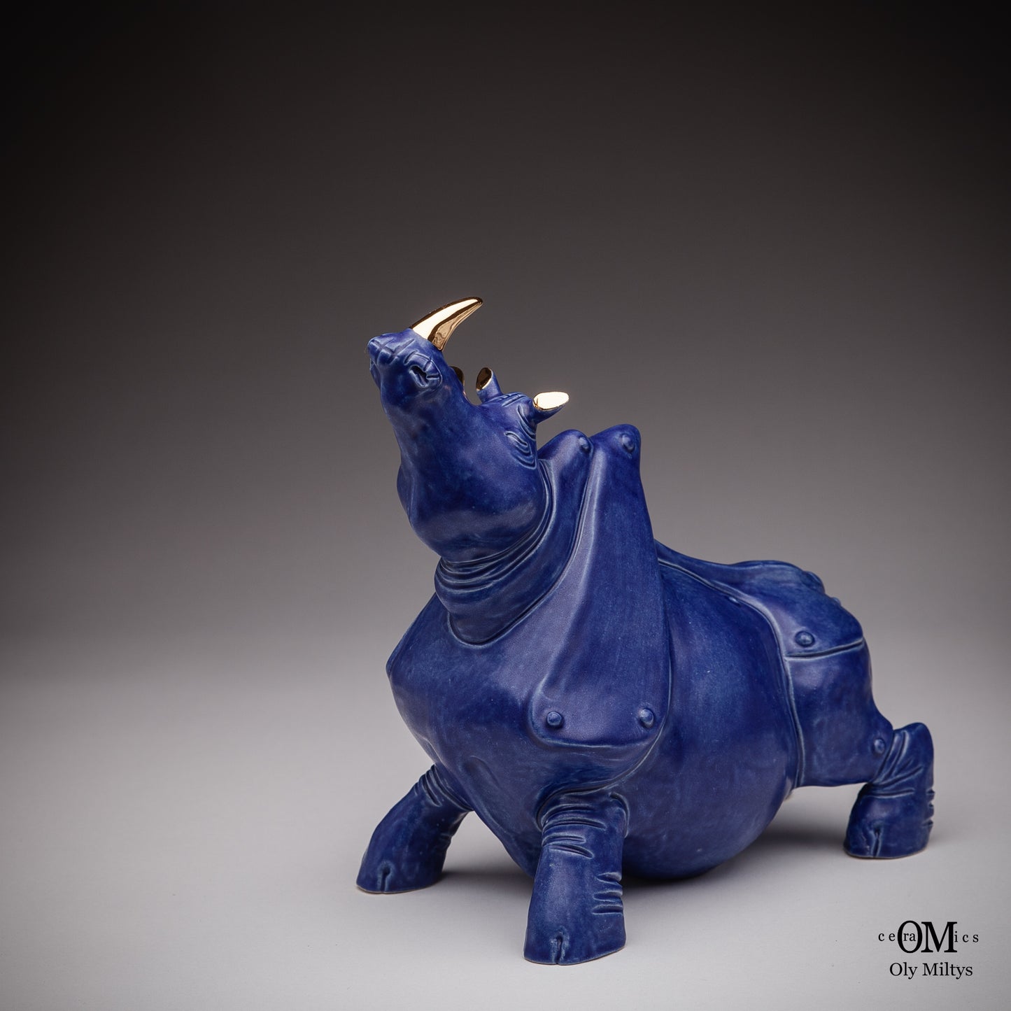 Rhino#6