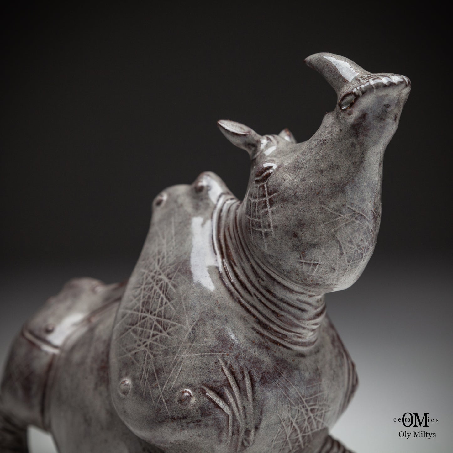 Rhino#7