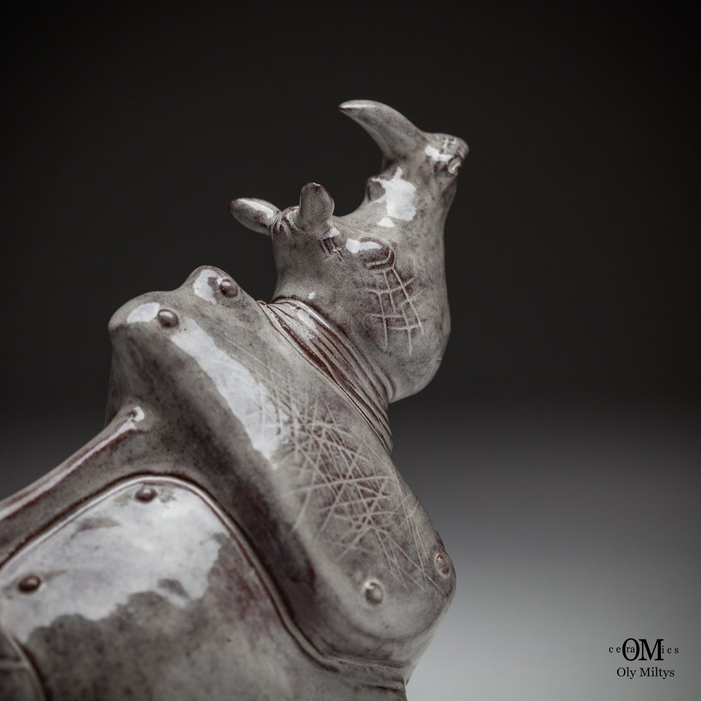 Rhino#7